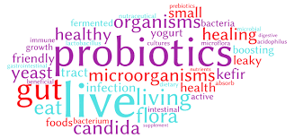  Alginate microencapsulated Lactobacillus Casei and Bifidobacteria Bifidum in mayonnaise